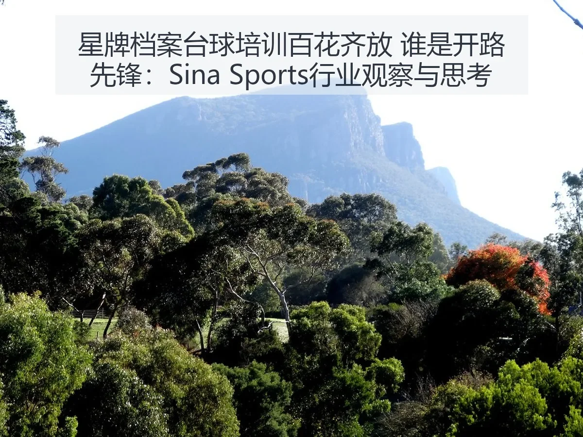 星牌档案台球培训百花齐放 谁是开路先锋：行业观察与思考