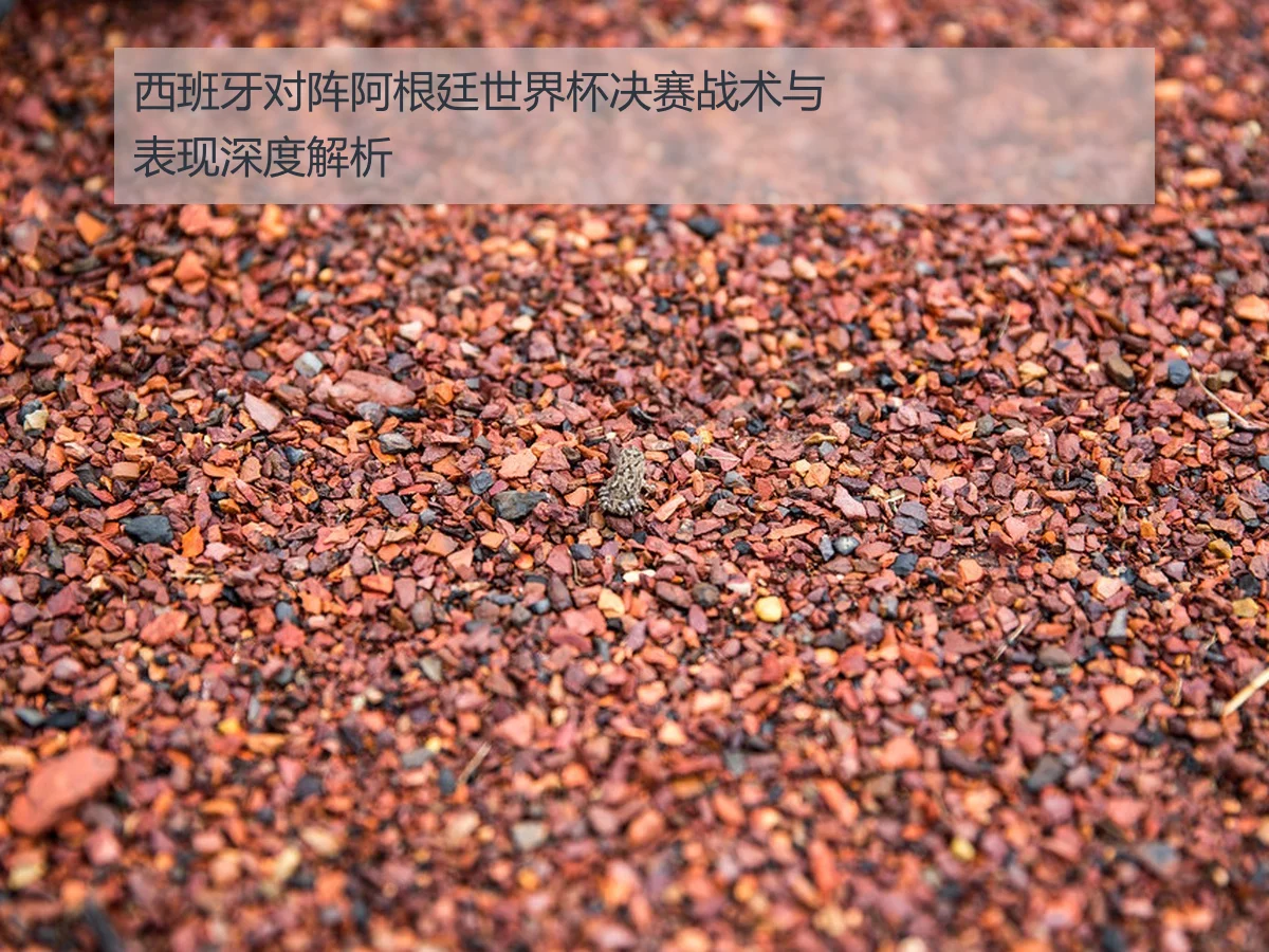 西班牙对阵阿根廷世界杯决赛战术与表现深度解析
